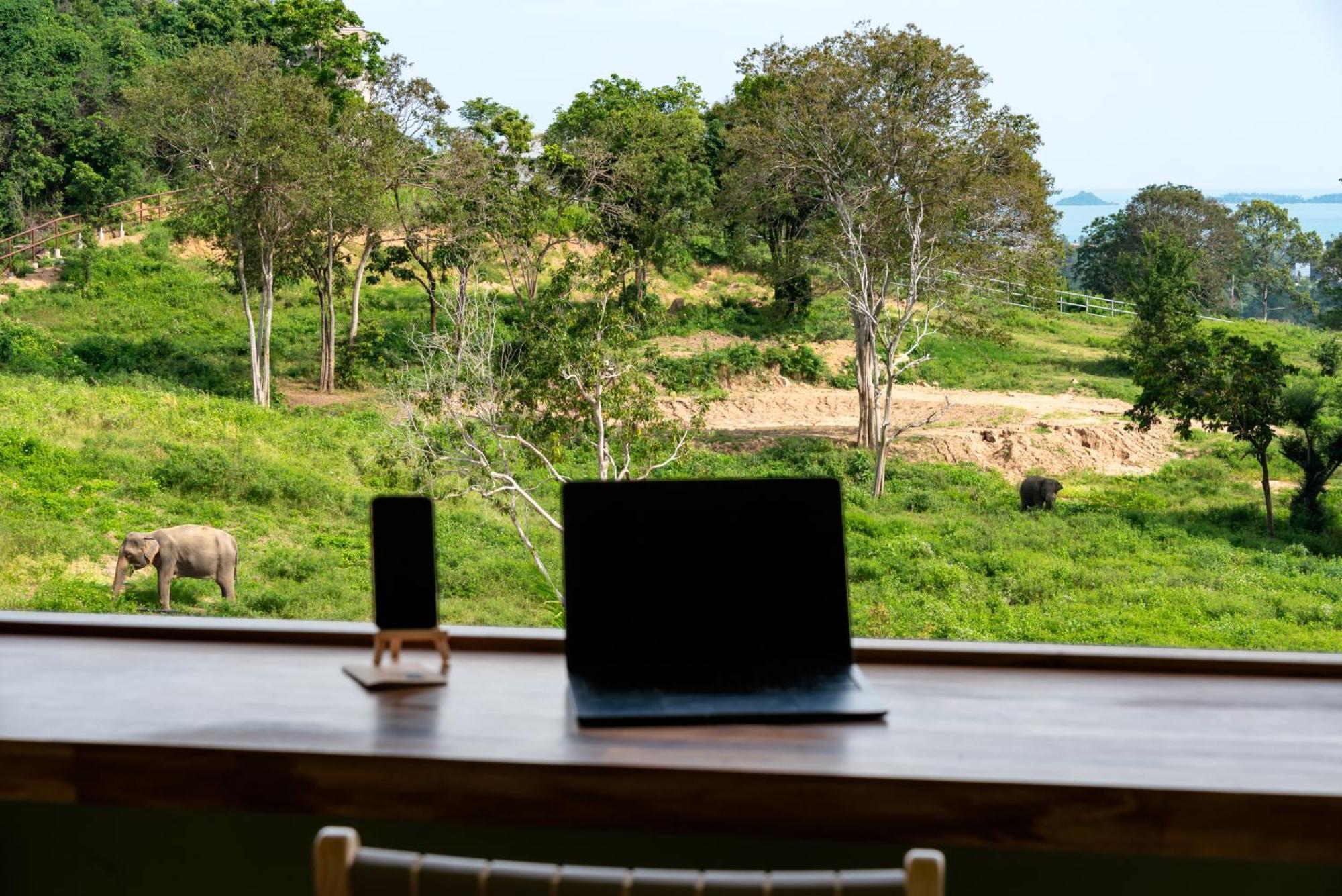 Wild Cottages Elephant Sanctuary Resort Amphoe Koksamui Exterior photo