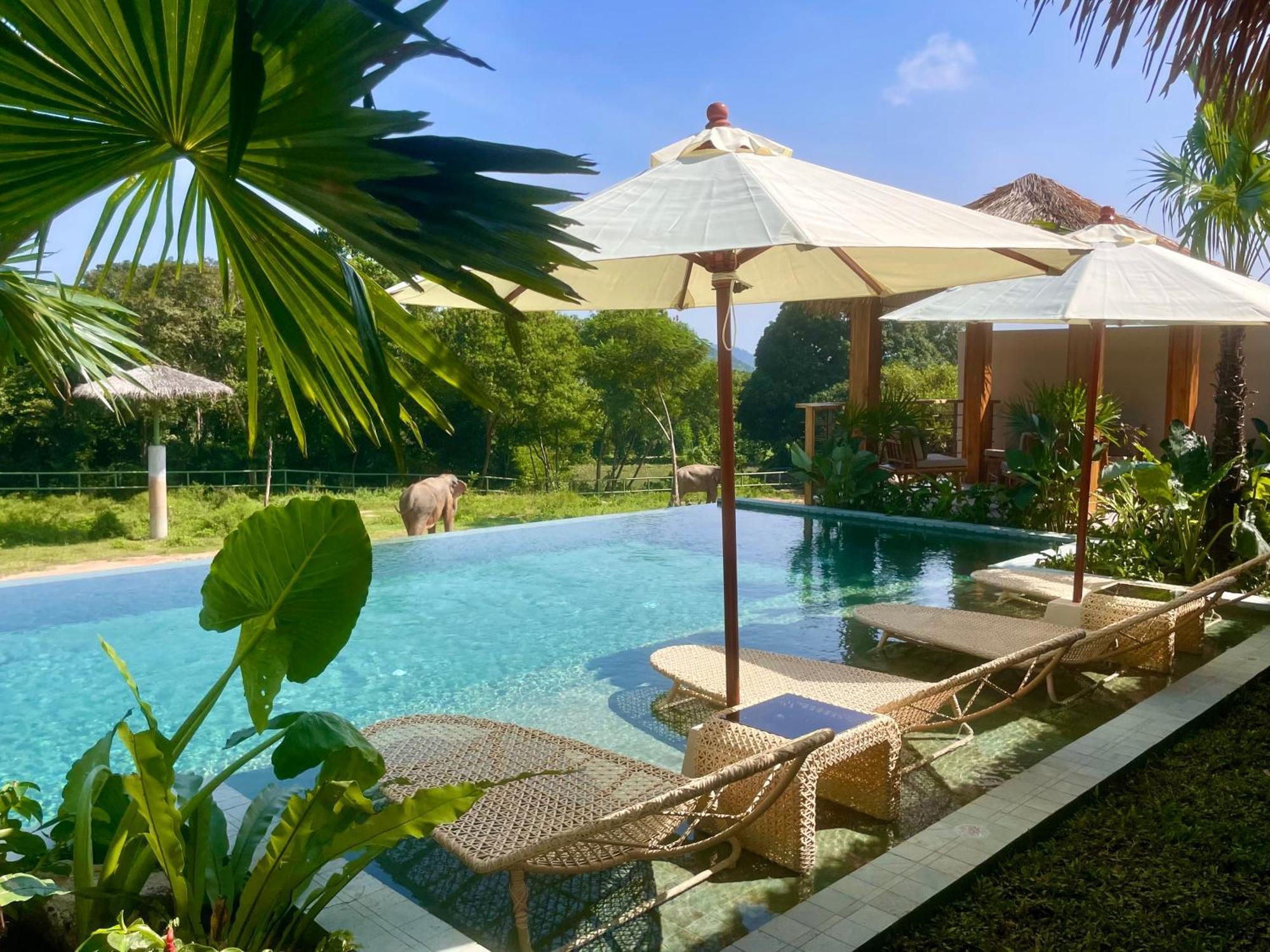 Wild Cottages Elephant Sanctuary Resort Amphoe Koksamui Exterior photo