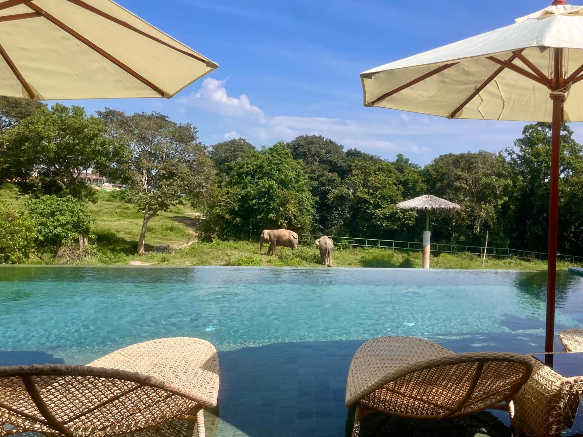 Wild Cottages Elephant Sanctuary Resort Amphoe Koksamui Exterior photo
